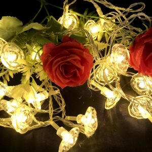 LUCES GUIRNALDA ROSA LED CALIDA C/ENCHUFE WH-571