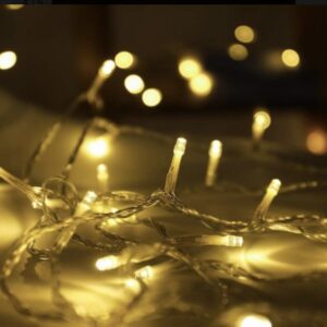 LUZ ARROZ 100L CALIDA C/ENCHUFE 6MTS EN CAJA AB-2