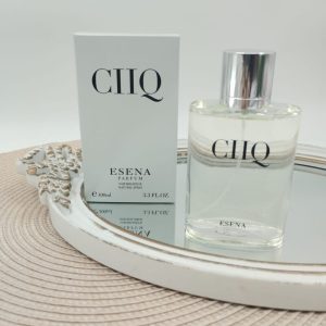 PERFUME GIO AQCUAD ID 100ML B693-1