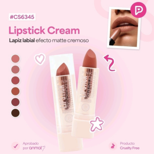 PINK 21 LABIAL EN BARRA CS6345