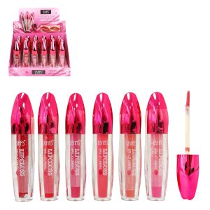 USHAS LIP GLOSS HGLN-2540A p